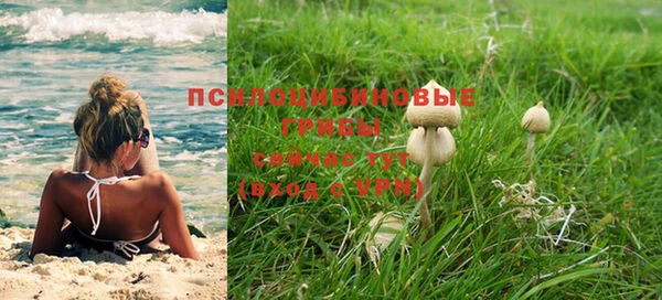 хмурый Алексин