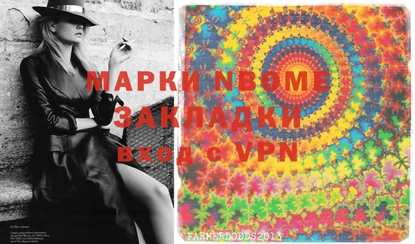 хмурый Алексин
