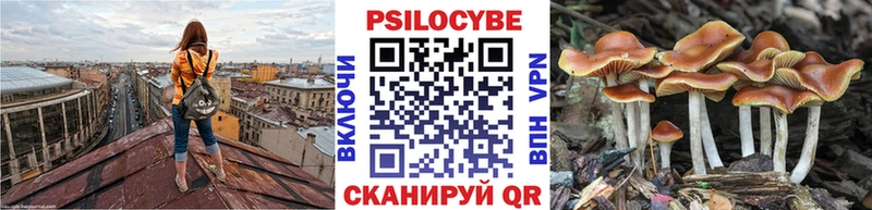 Галлюциногенные грибы MAGIC MUSHROOMS  Отрадное 