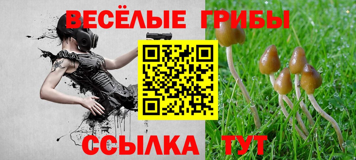 где можно купить   Вход с VPN  Отрадное  Галлюциногенные грибы Psilocybine cubensis 