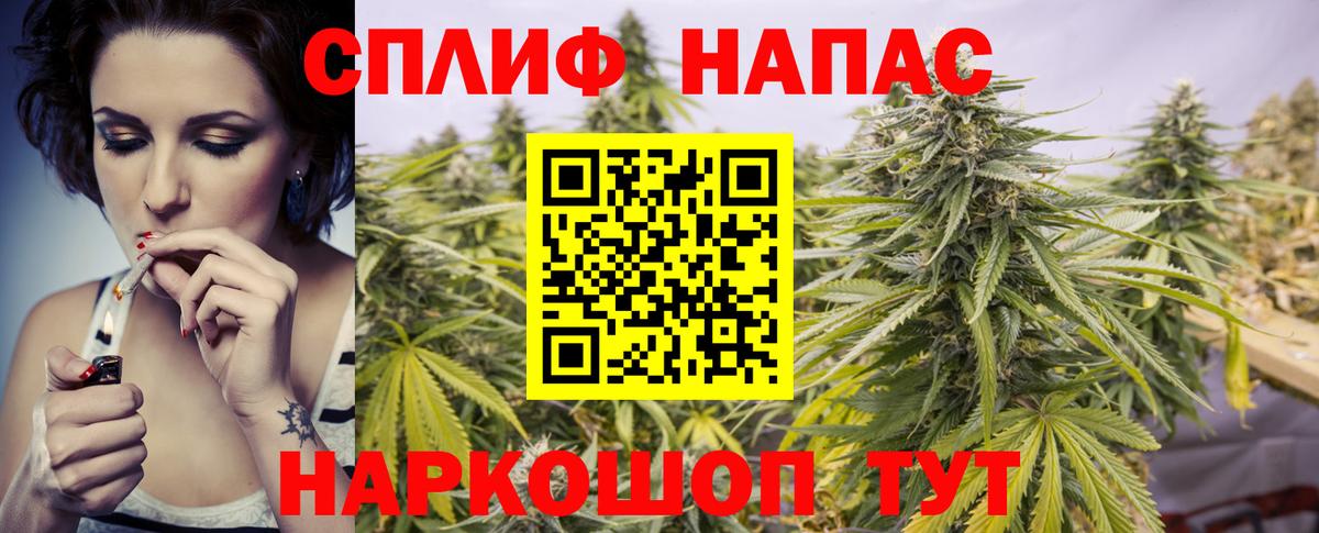 Бошки Шишки VHQ Отрадное